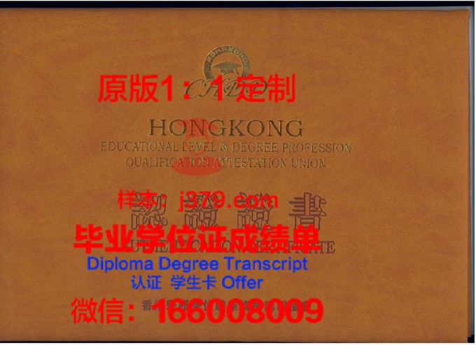 东义科学大学diploma证书