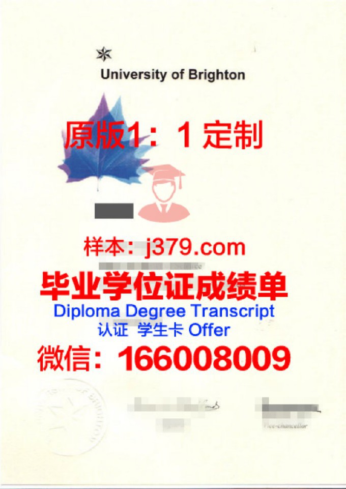 布莱顿大学毕业证(布莱顿大学毕业证书图片)