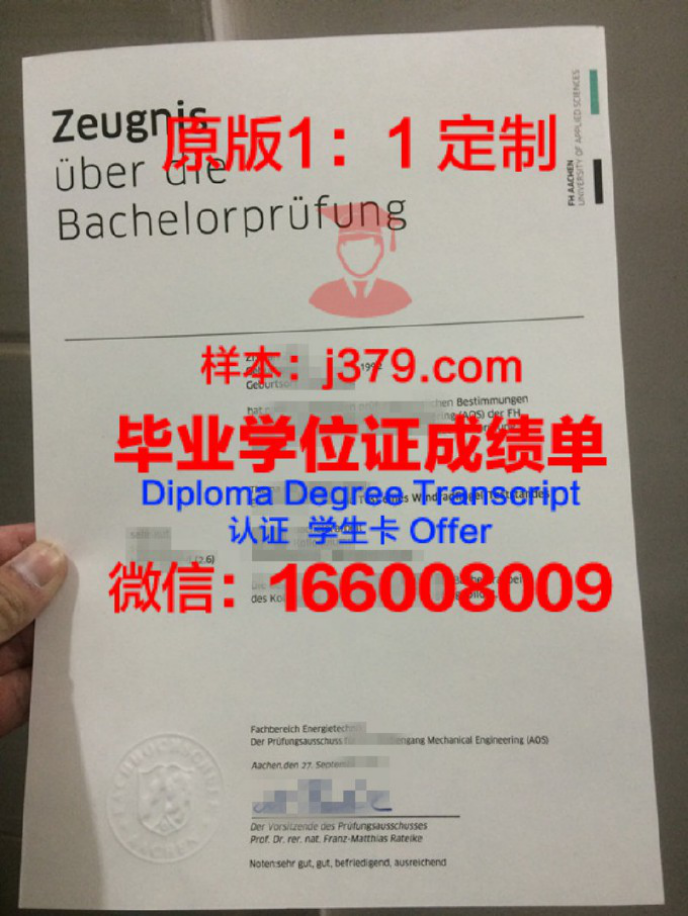 崇城大学学位成绩单定制：专业、严谨、个性化