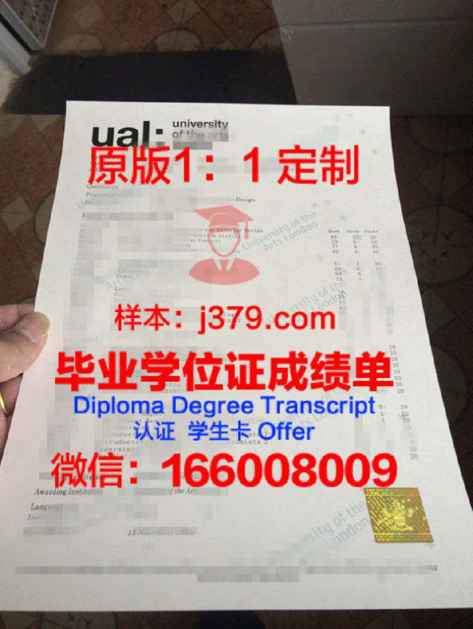 东京数字艺术专门学校博士毕业证——探索数字艺术领域的璀璨明珠