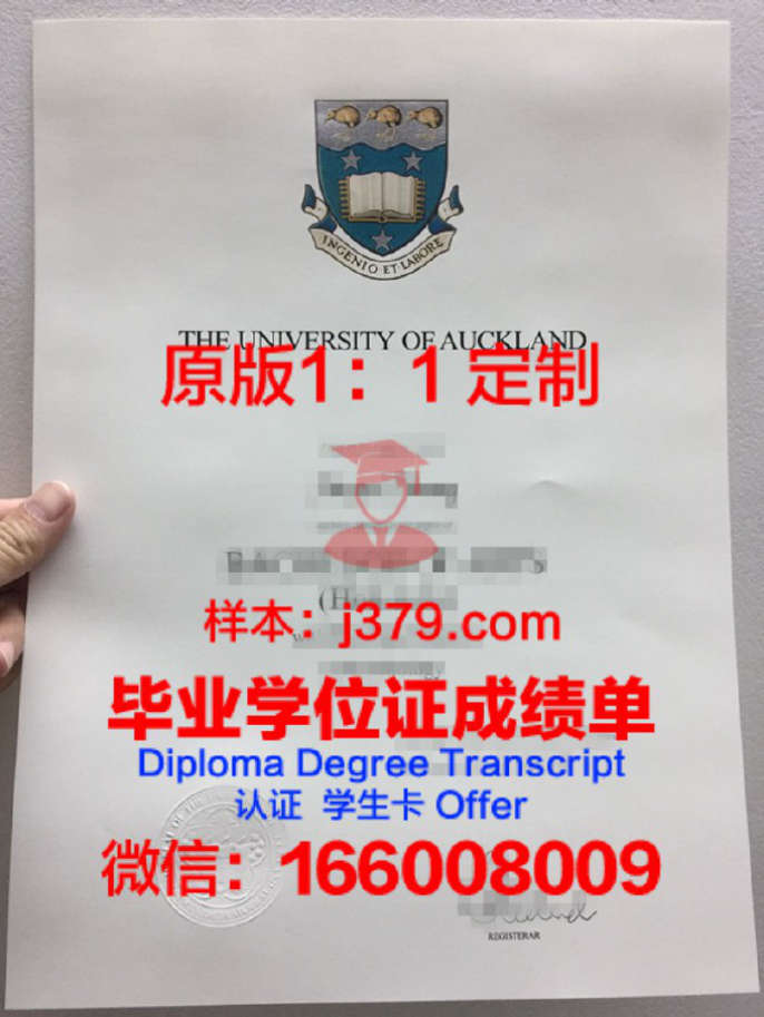 怀大录取通知书 OFFER 定制：开启新西兰留学之旅