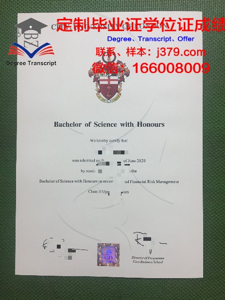 毕加索语言学院 diploma 毕业证