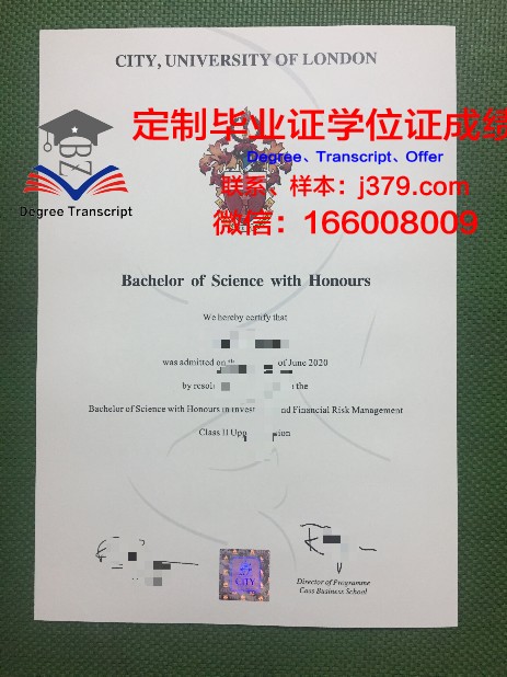 探索ITC Sligo硕士毕业证的价值与意义