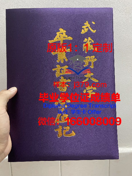 武藏野音乐大学毕业证样本(武藏野音乐大学相当于国内啥大学)