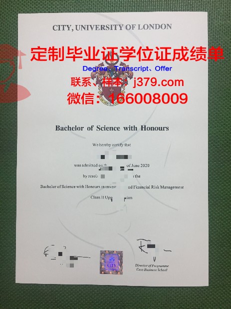 比勒费尔德大学毕业证学位文凭学历Diploma