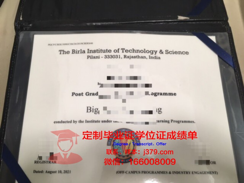 比尔拉科学技术学院毕业证图片(比尔拉塞尔大学)