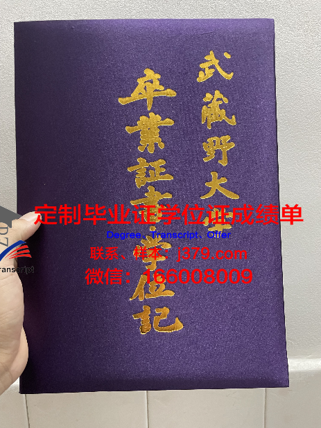 武藏野音乐大学博士毕业证(武音有博士点吗)