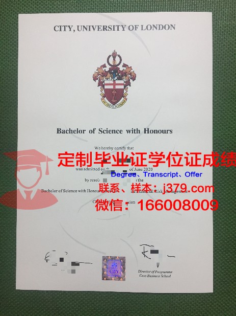 探索教育新篇章——3is国际音像学院博士毕业证的价值与意义