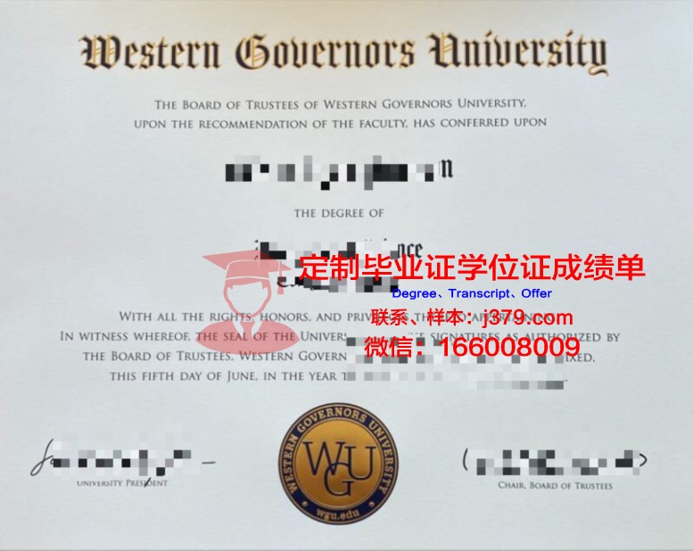 毕索大学毕业学位