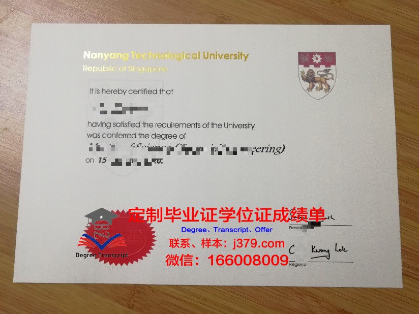 比萨大学毕业证壳子(大学毕业证弄脏了怎么办)