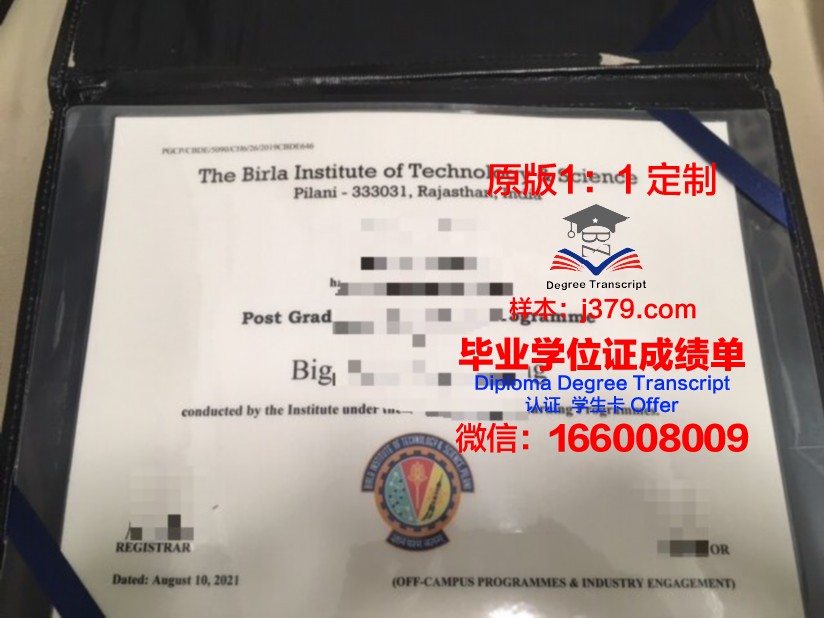 比尔拉科学技术学院毕业证书什么颜色