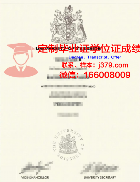 提赛德大学毕业证图片