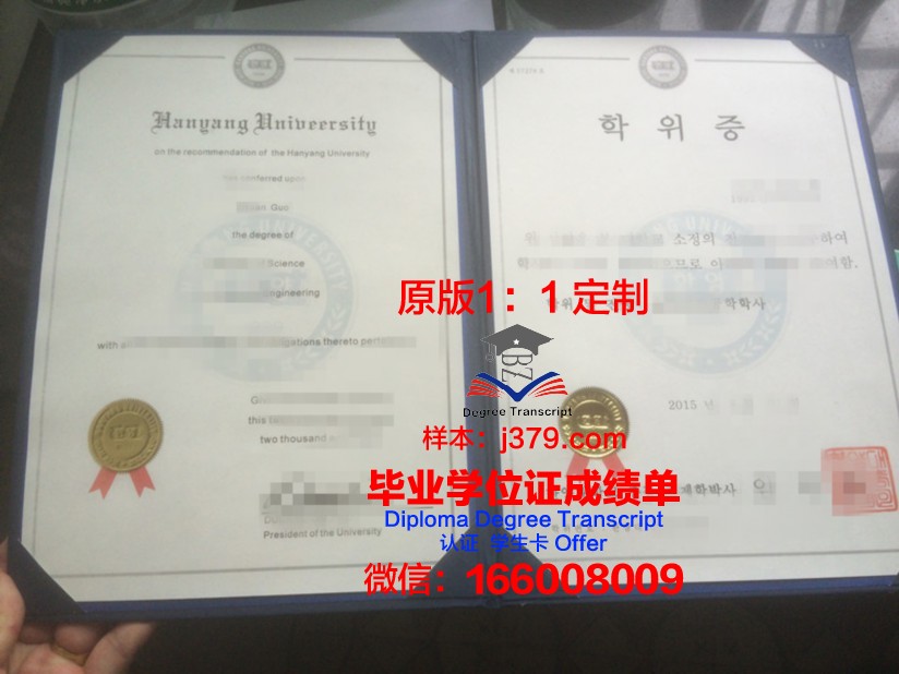 比萨大学学位证书(比萨大学学位证书有用吗)