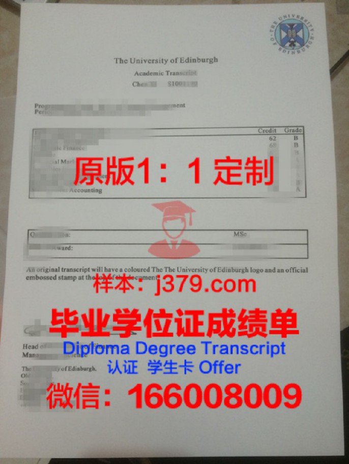 如何撰写成绩单的建议——一份实用的指南