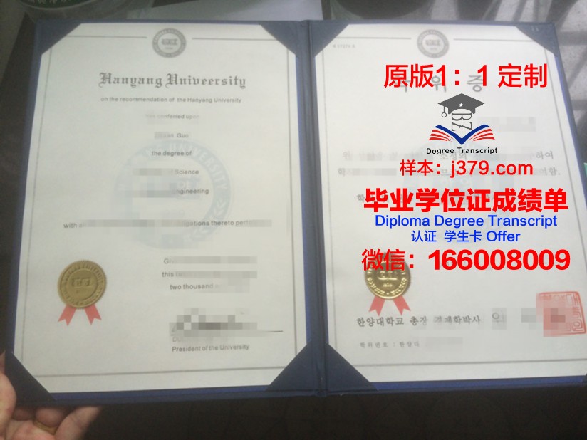 探秘MUniv硕士学位证：一份承载荣誉与梦想的证书