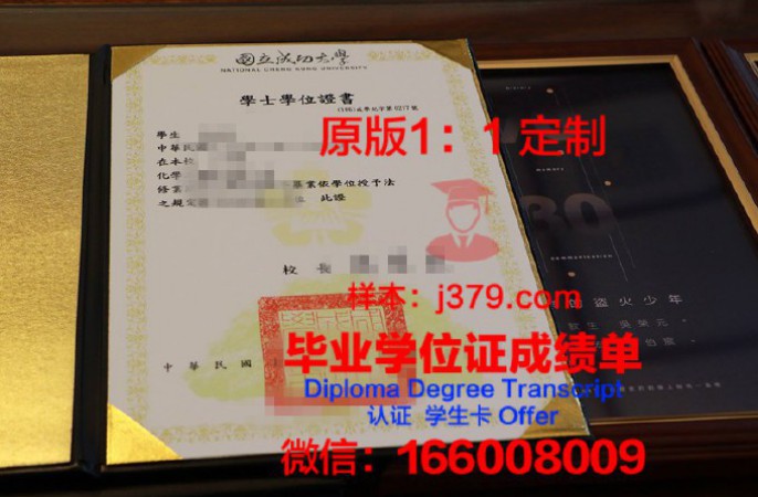 威尼斯大学学位证(威尼斯大学学位证要求)