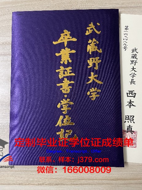 武藏野学院大学成绩单(武藏野大学2021年本科录取条件)