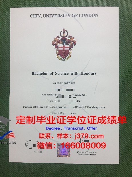 拉贾斯坦大学拿不了毕业证(拉贾斯坦民间音乐)