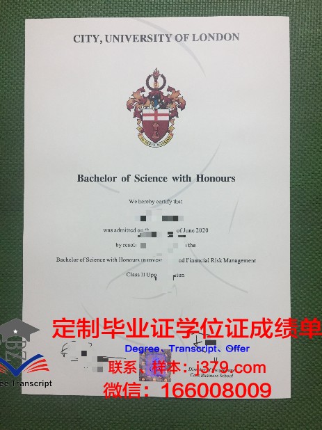 探索赫尔辛基大学毕业证定制背后的故事