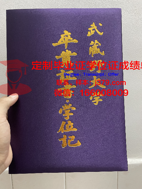 武藏野音乐大学毕业证学位证(武藏野学院大学国内认可吗)