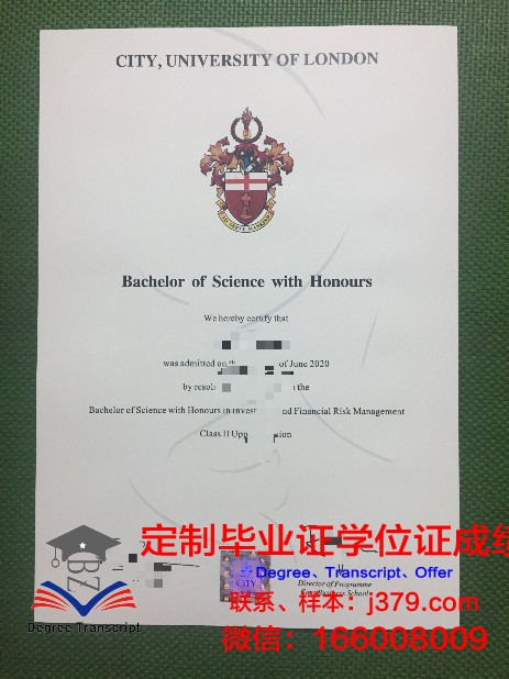 拉蒙卢尔大学毕业证成绩单：一张纸背后的故事