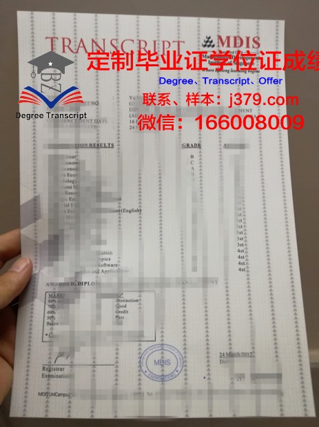 探秘又松信息大学成绩单：数字化教育的新篇章