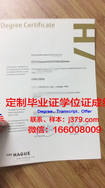 比勒费尔德中等企业应用技术大学毕业证案例(比勒费尔德应用科学大学)