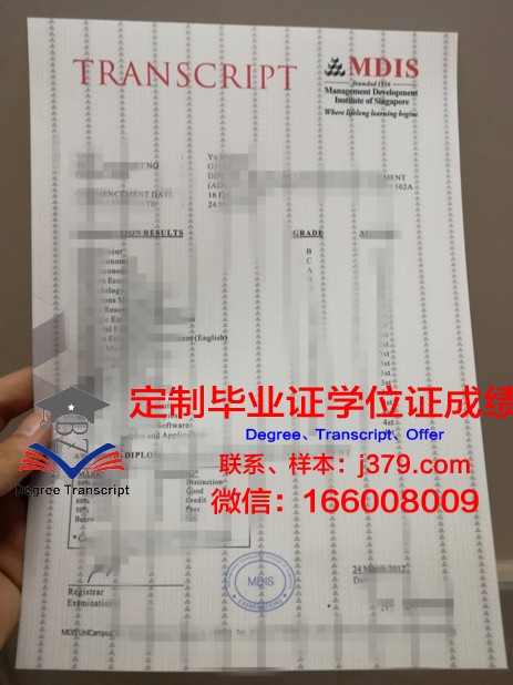 毕业生的成绩单：一份青春的答卷