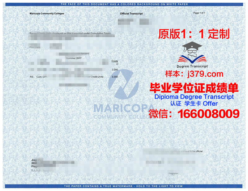 探索教育卓越：DOBA马里博尔应用商业及社会科学学院毕业证的价值与意义