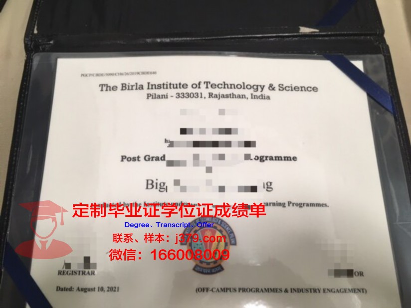 比尔拉科学技术学院diploma证书(比尔拉塞尔大学)