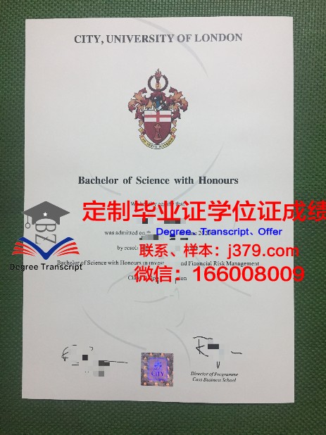 拉贾斯坦大学硕士毕业证：跨越国界的学术荣耀